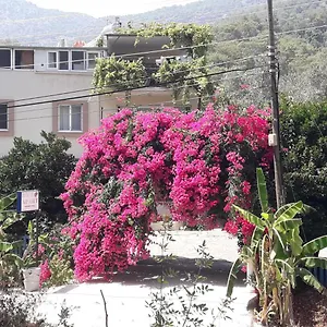 Apartment Rose, Sarigerme